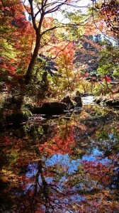 霊松寺の紅葉  